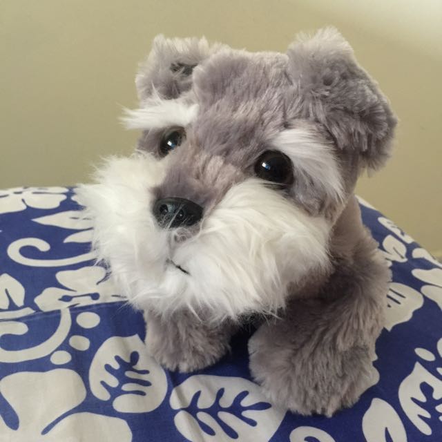 stuffed miniature schnauzer