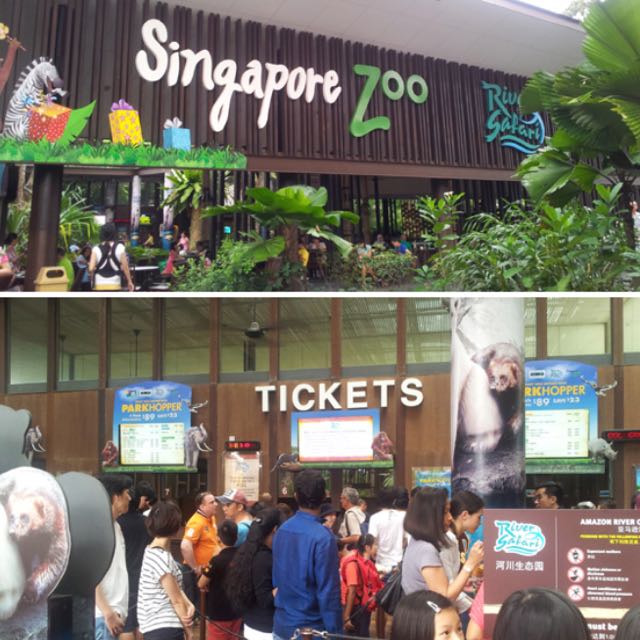 Singapore Zoo Tickets For Children, Tickets & Vouchers, Event Tickets