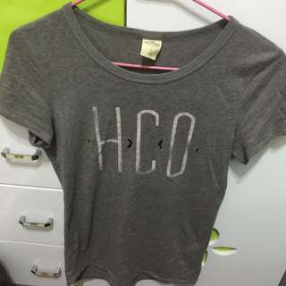 短T Hollister