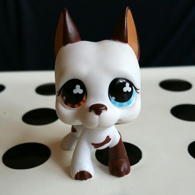 Littlest Pet Shop GREAT DANE Dog #577 Brown & Blue Eye 2 FREE ACCESSORIES 