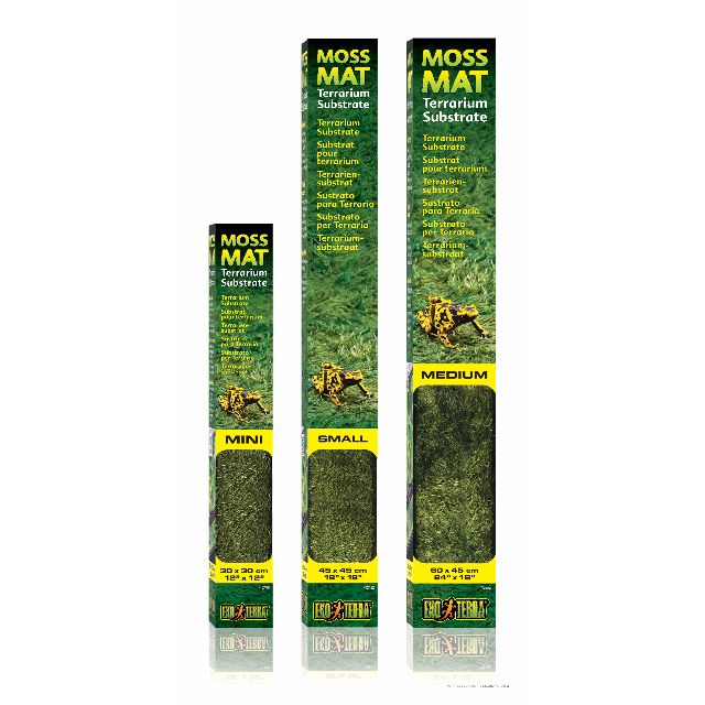 MOSS MAT / TERRARIUM SUBSTRATE, Pet Supplies, Homes & Other Pet