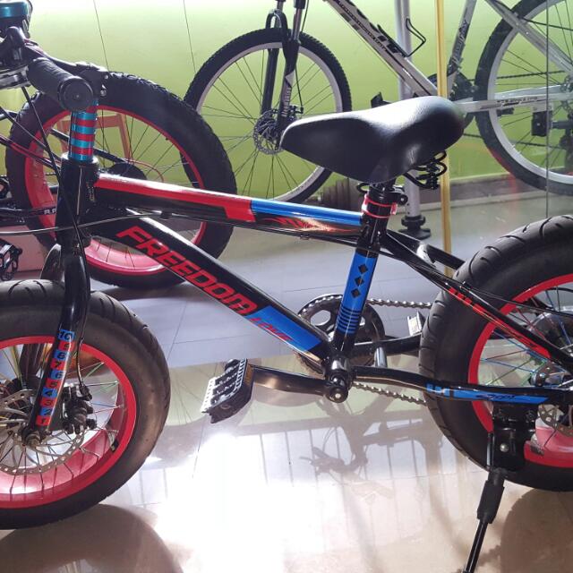 16 inch fat bike on sale