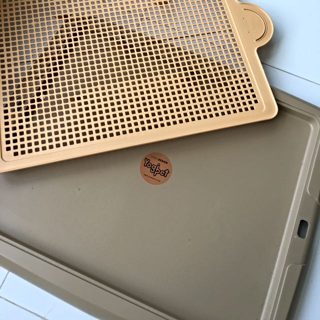 yogi pee pan Yogi pee pan