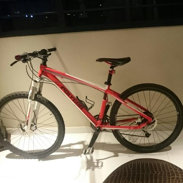 Polygon cozmic cx1 0 Clearance