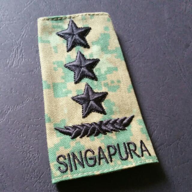 saf_lg_rank_insignia_1460107376_b5eb5c87.jpg