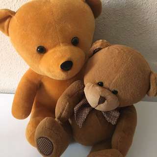 Bear Sales