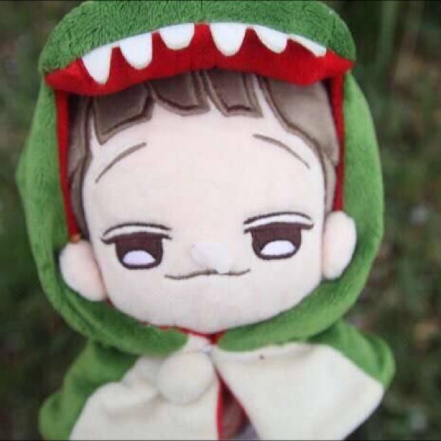 exo doll babyddundae chen entertainment k wave on carousell exo doll babyddundae chen entertainment k wave on carousell