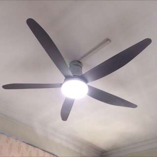 Ceiling Fan DC Motor  With Strong 3 Colour 22W LED