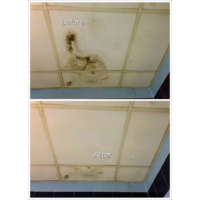 Washable Pvc Ceiling Tiles Other Building Materials Ecotile