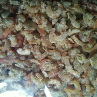 Udang Kering / Dried Prawn