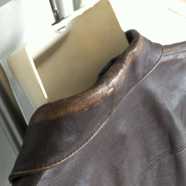 Wested leather indiana jones hotsell