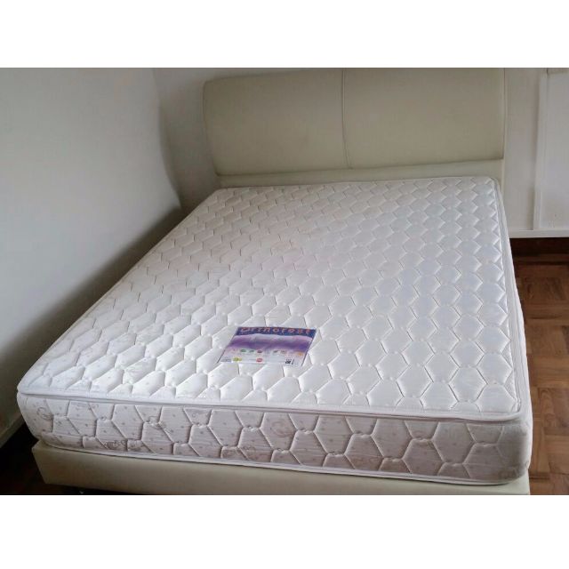 ortho rest mattress
