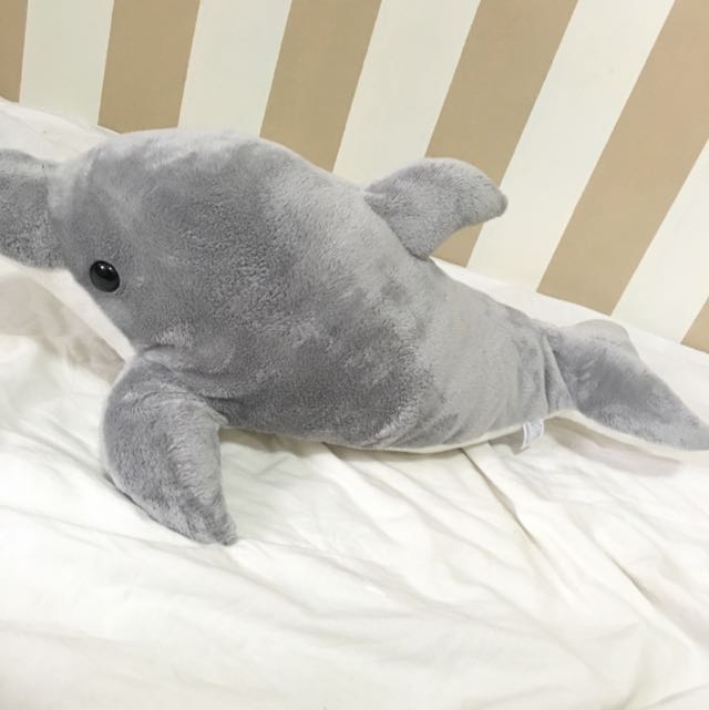 dolphin teddy