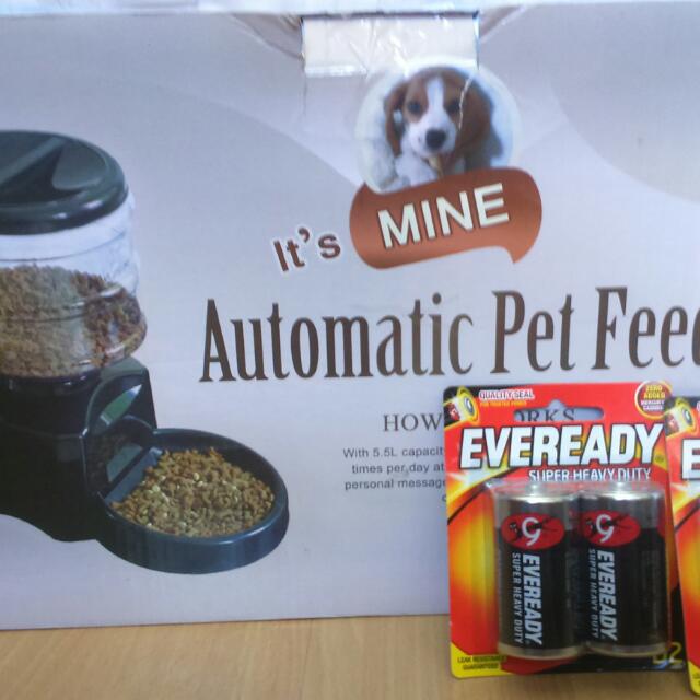 Automatic Pet Feeder Free Batteries On Carousell