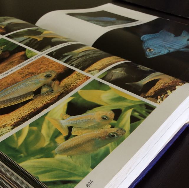 Dr axelrod's atlas of freshwater fish 2025
