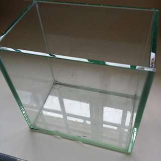 Betta Fish Tank