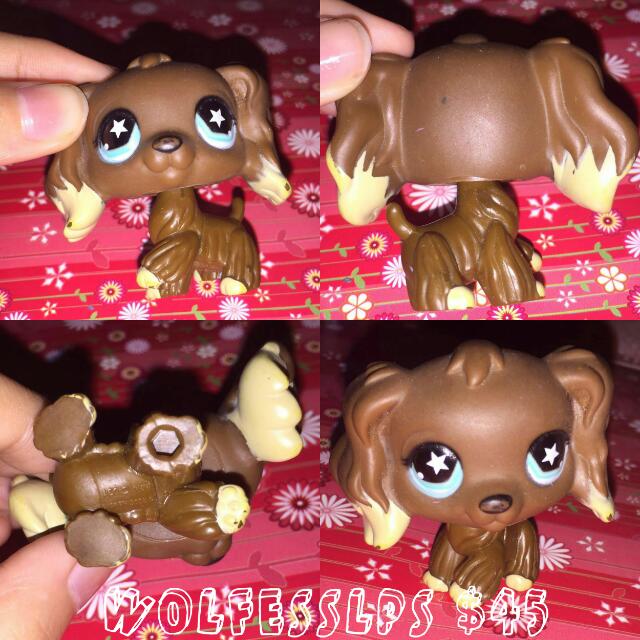 littlest pet shop 891