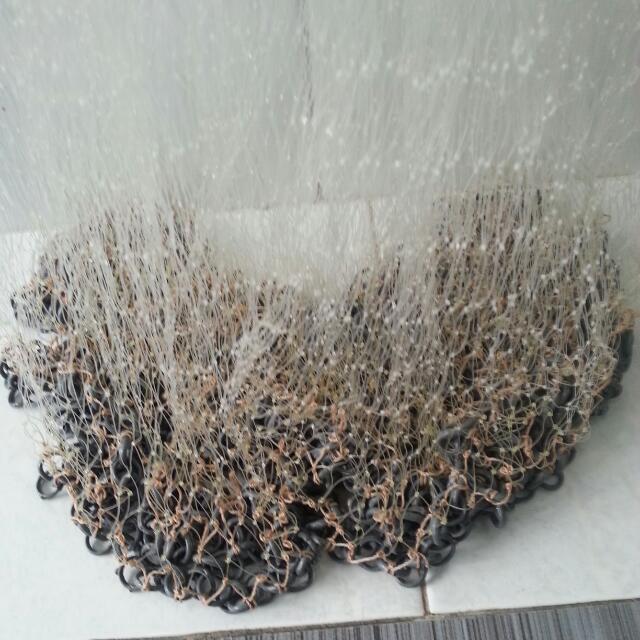 Net Jala Fishing Net / Jala, Everything Else on Carousell