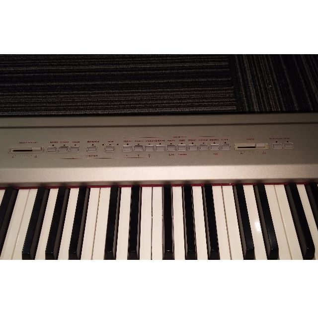 SP200 Digital Stage Piano, Hobbies & Toys, Music & Media, Musical