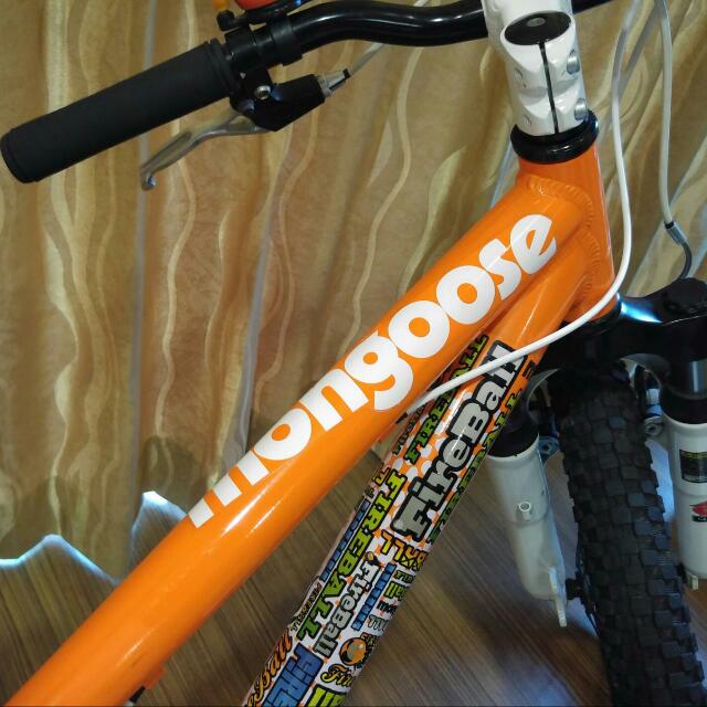 mongoose fireball 20