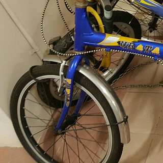 Bicycle(CNY Sale)