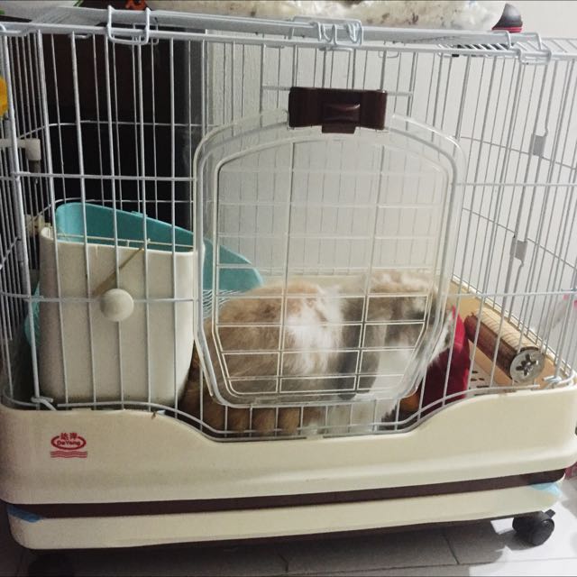 feeders supply dog crates