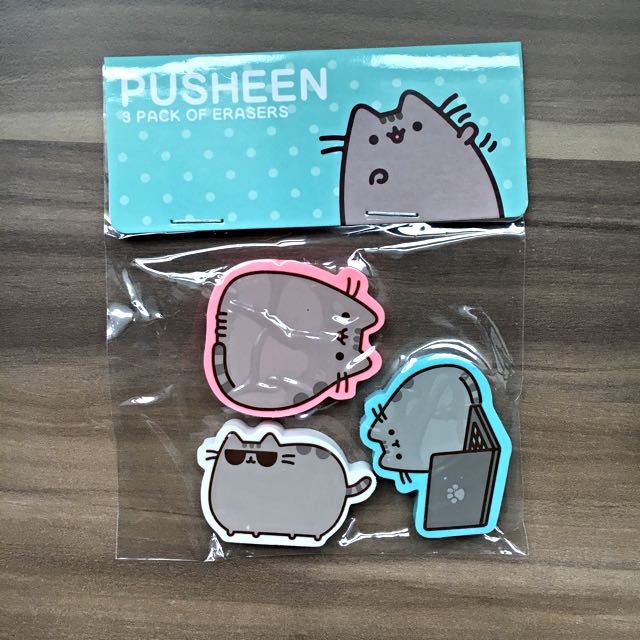 Pusheen Cat Subscription Box Winter 2015 Everything Else On