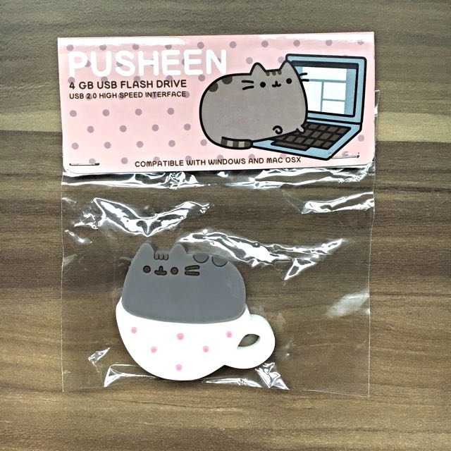 Reserved Pusheen Cat Subscription Box Winter 2015 Everything