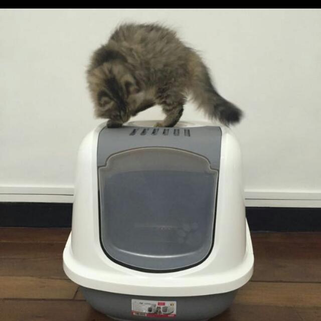 Savic Nestor Jumbo Hooded Cat Litter Tray Pet Supplies On Carousell