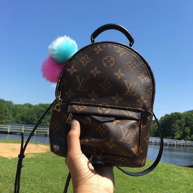 Louis Vuitton Canvas Monogram and Leather Palm Springs Mini Backpack  Monogram - Luxury In Reach