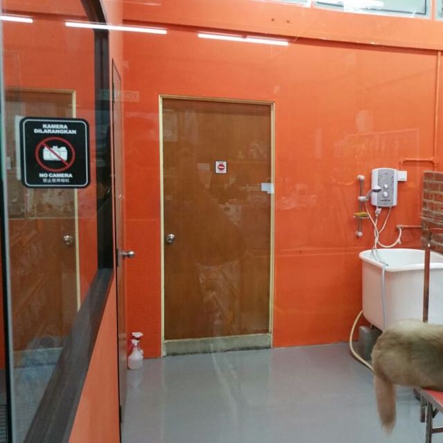 PET SHOP IN KL, Property on Carousell