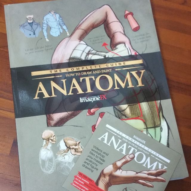 The Complete Guide How to Draw and Paint Anatomy, Hobbies & Toys, Books & Magazines, Textbooks