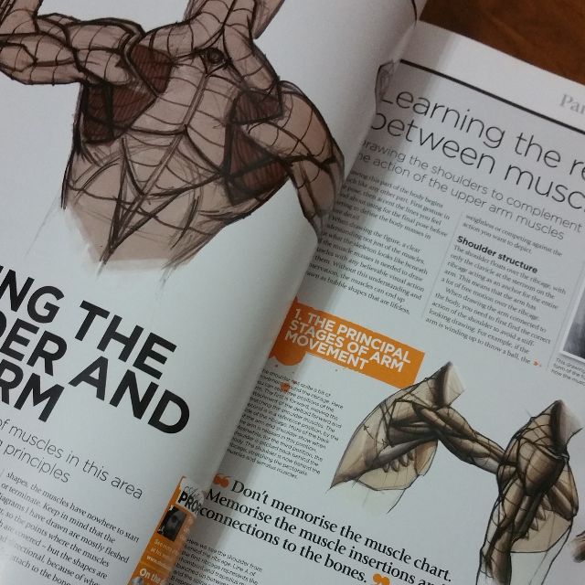 The Complete Guide: How to Draw and Paint Anatomy, Hobbies & Toys ...