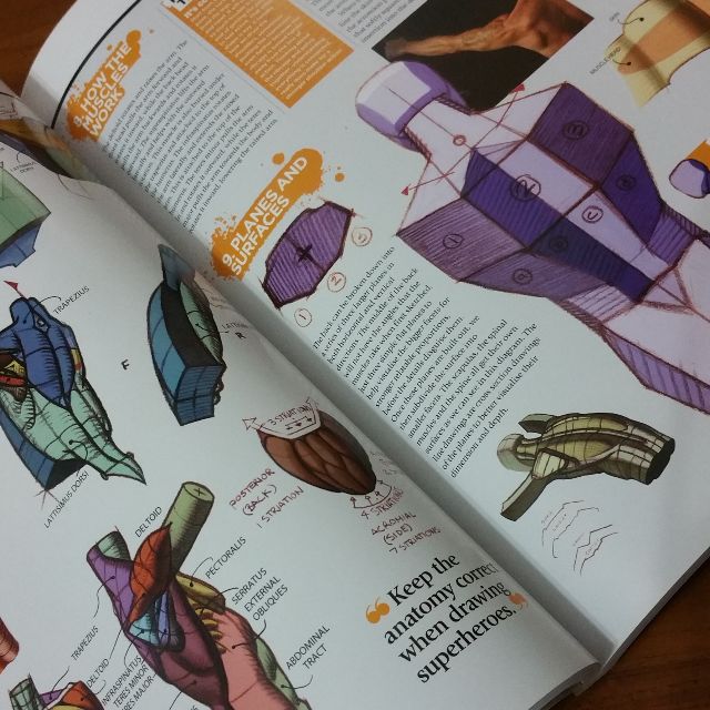 The Complete Guide: How to Draw and Paint Anatomy, Hobbies & Toys ...