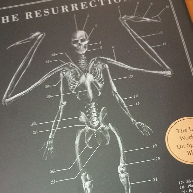 The Resurrectionist The Lost Work Of Dr Spencer Black Books