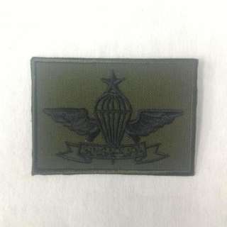 Senior Parachutist Singapore Old