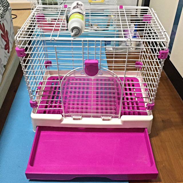 Used Rabbit Cage, Pet Supplies, Homes & Other Pet Accessories on Carousell