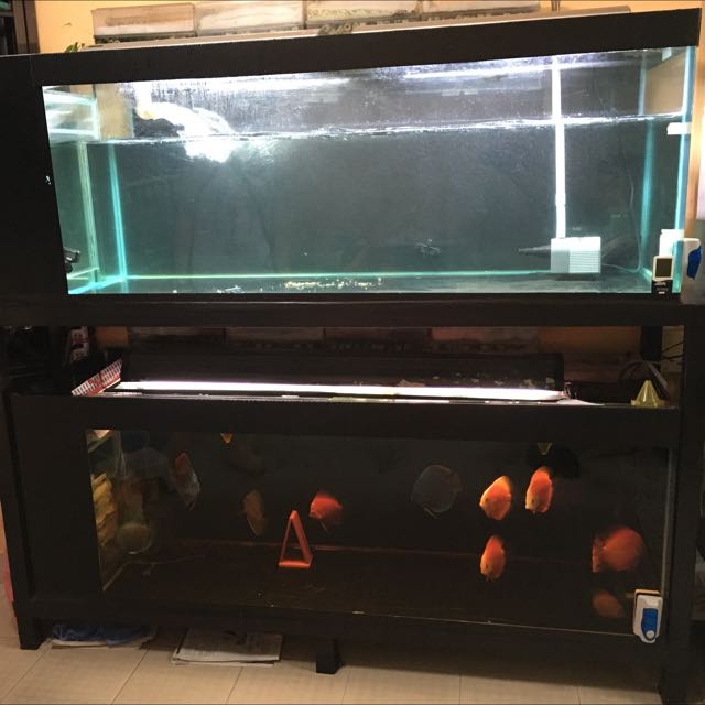 5ft fish tank discount