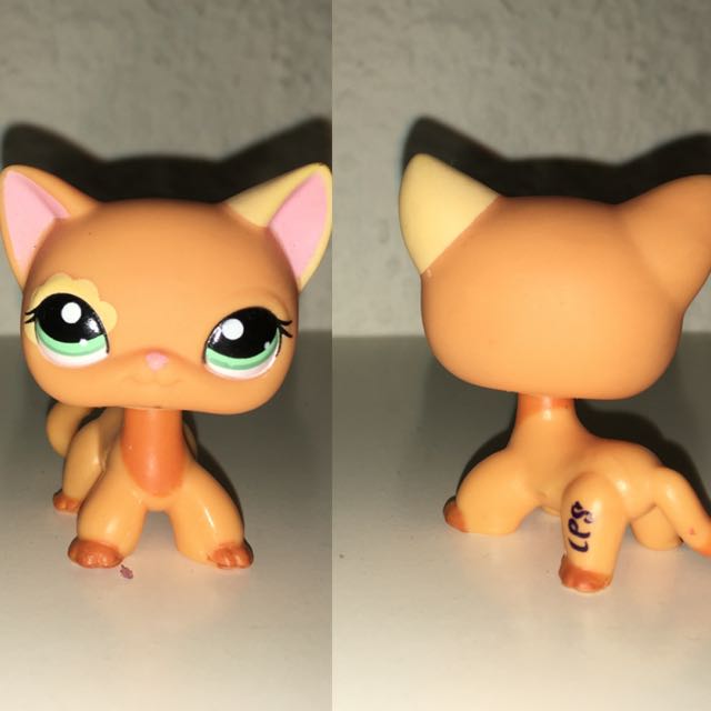 Lps orange shorthair cheap
