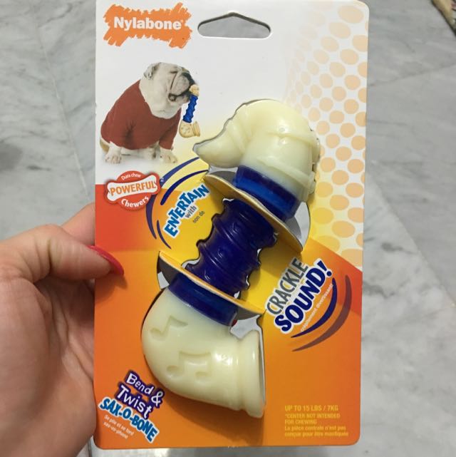 nylabone saxophone