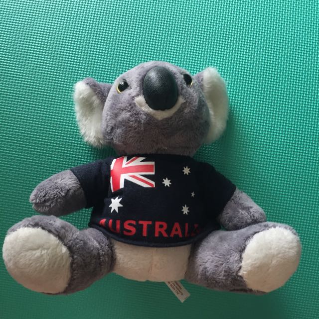 Koala Bear Soft Toy, Hobbies & Toys, Toys & Games on Carousell