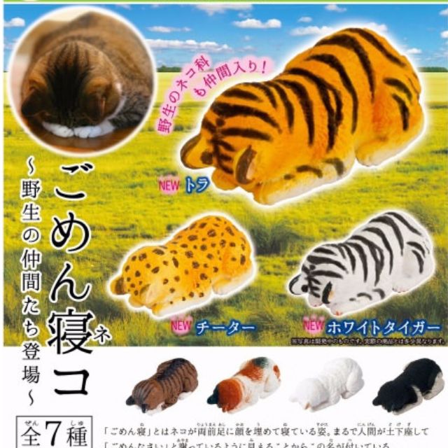 Shine G 趴睡貓野生的朋友篇 土下座動物系列極度療癒共7款 玩具在旋轉拍賣