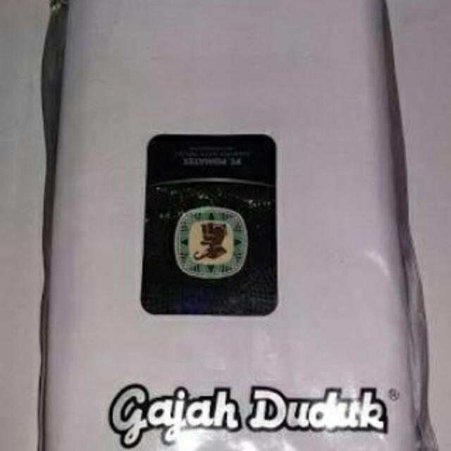 Download 8400 Gambar Gajah Polos  