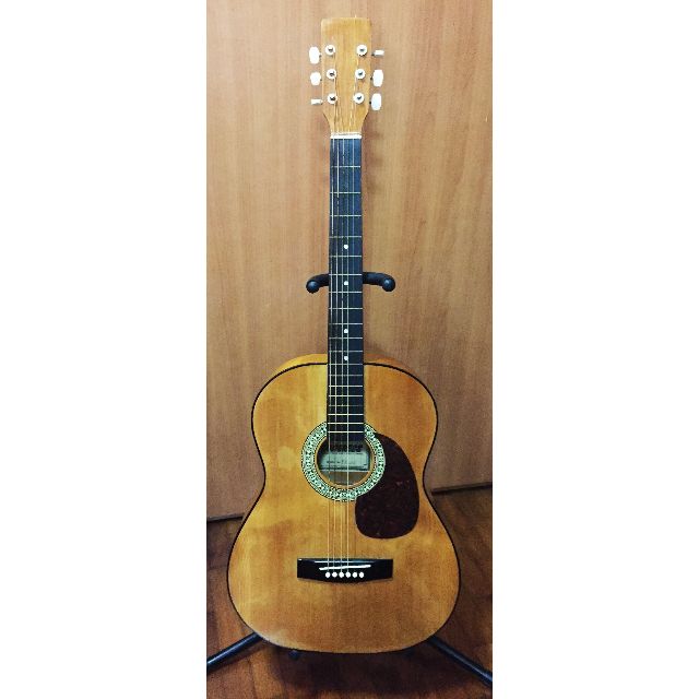 Congress sales guitar brand