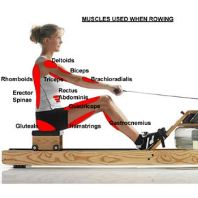 Waterrower Rowing Machine, Sports Equipment, Exercise & Fitness, Cardio