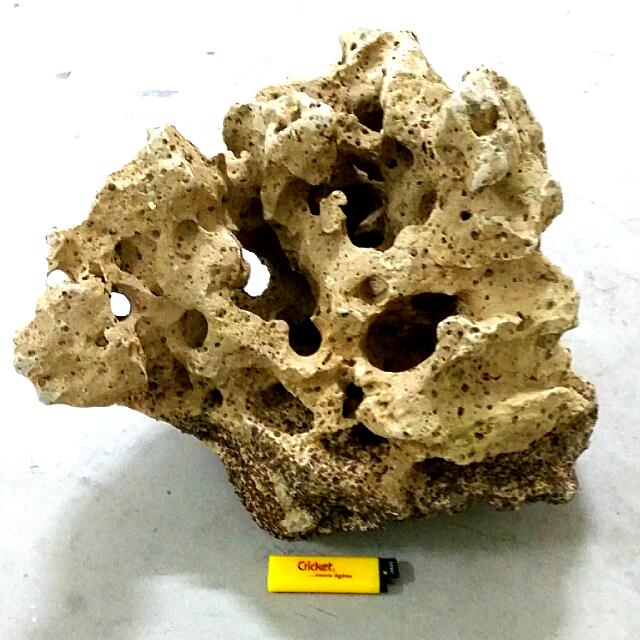 Coral Stone For Fishtank /Aquarium, Pet Supplies, Homes & Other Pet