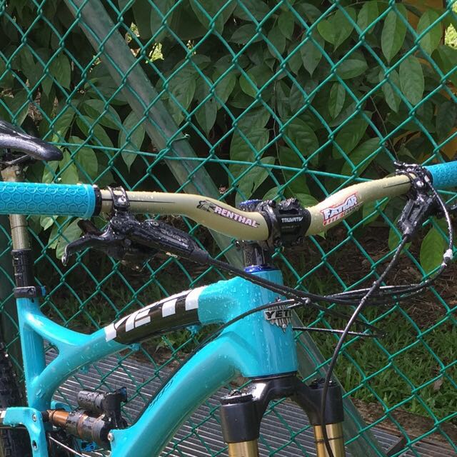 renthal gold carbon bars