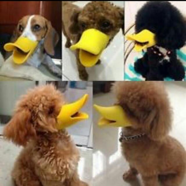 Duck beak muzzle clearance