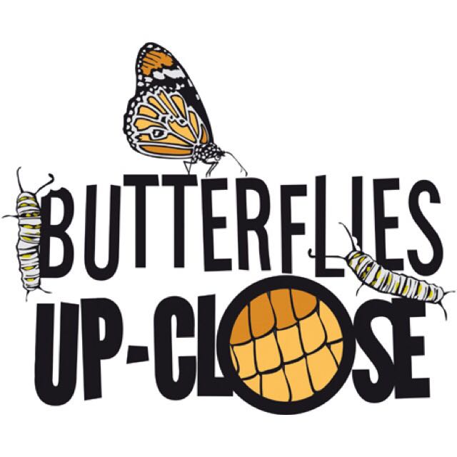 Butterflies UpClose Exhibit Tickets Science Centre Singapore