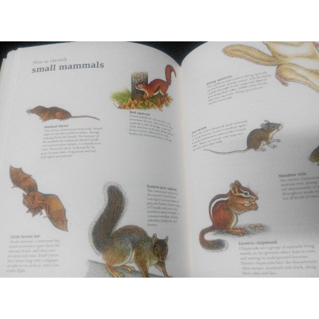 The Bumper Book Of Nature A User S Guide To The Great Outdoors Stephen Moss Hardcover Books Stationery On Carousell